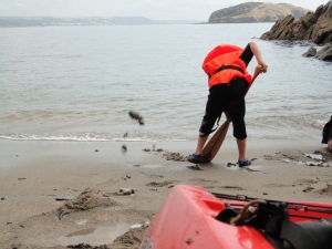 Digging for treasure on Cornish Rock Pools expedition
