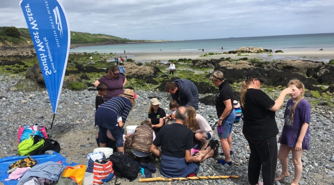 Rock Pooling at Coverack with Wildlife Watch
