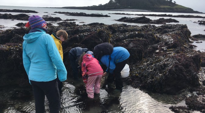 What to do when Rock pooling is cancelled? Go anyway!